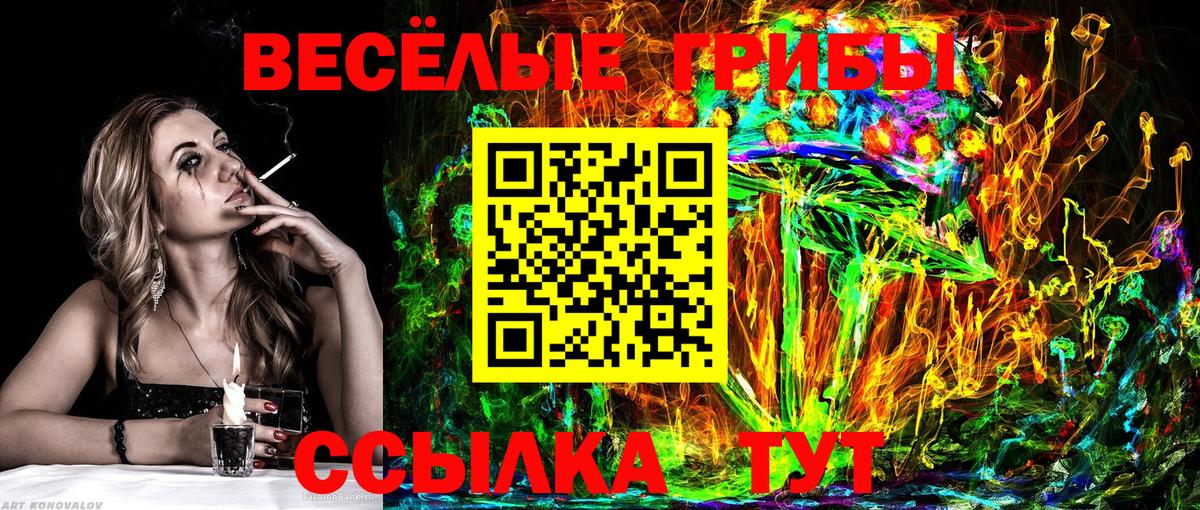 Псилоцибиновые грибы Psilocybine cubensis  Вход с VPN  Галлюциногенные грибы GOLDEN TEACHER  Дивногорск 